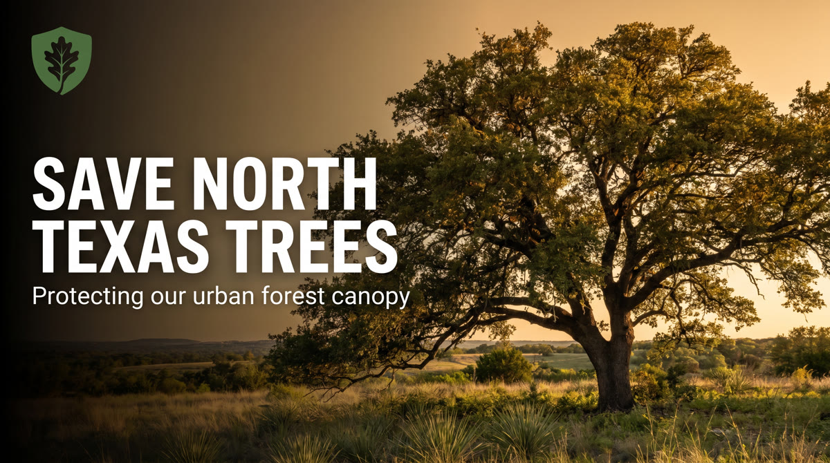 Save North Texas Trees — Protecting Our Urban Forest